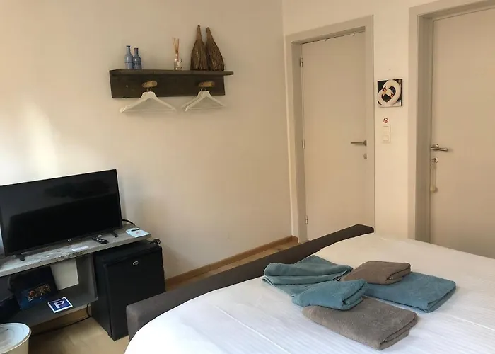 B&B Calis